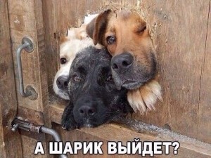 А Федьженьтаня выйдет?